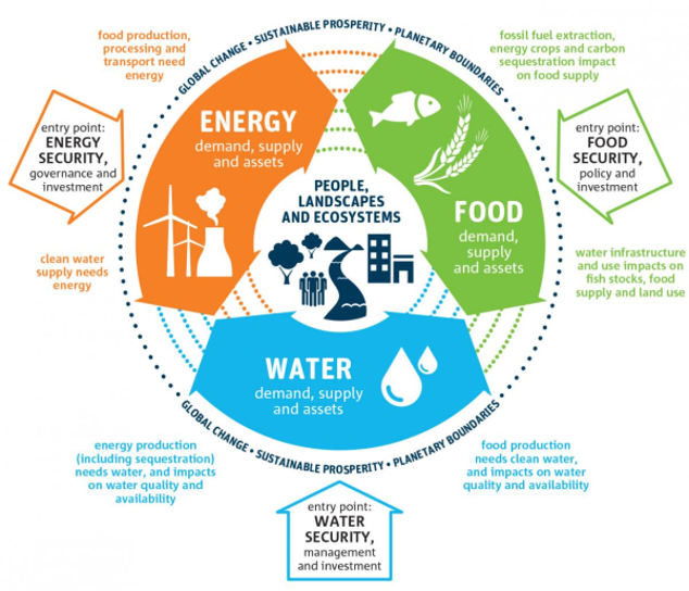 a graphic of the WEF cycle, water, food, and energy security.