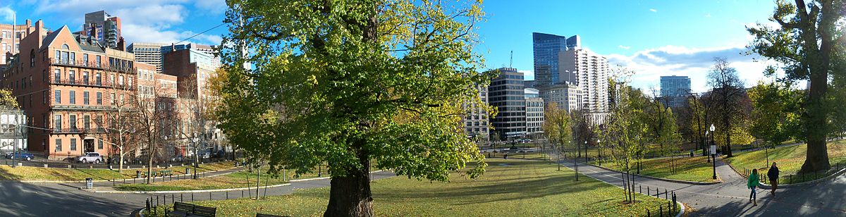 Image of Boston Common, park area surrounded by buildings