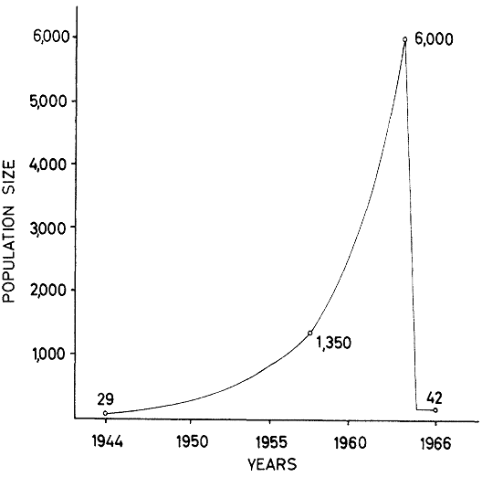 Grapf showing exponential growth of reindeer from 1944-1966
