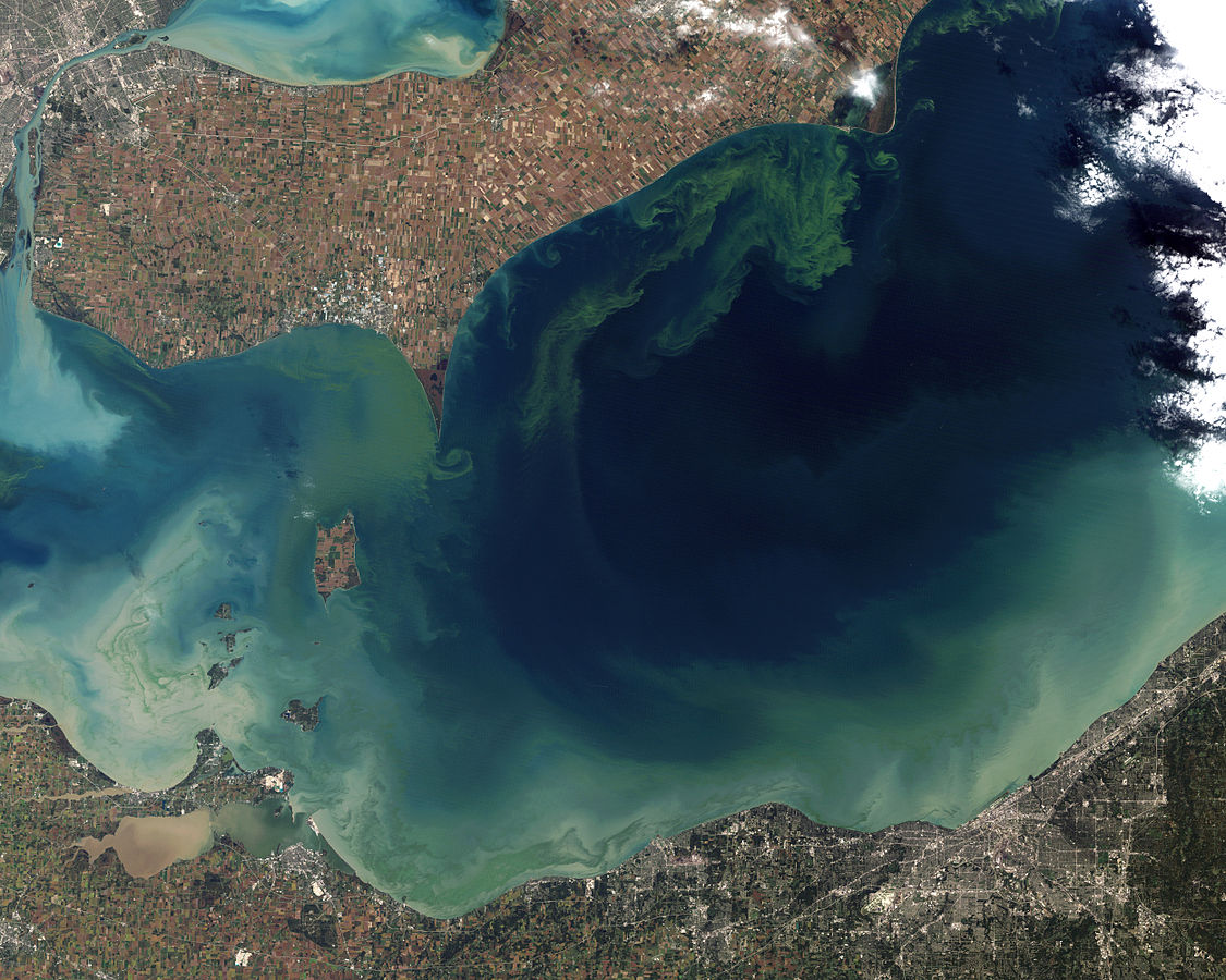 Aerial image of an algal bloom in Lake Erie