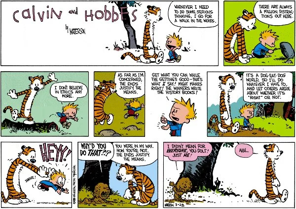 Calvin and Hobbes cartoon, see text description in link below