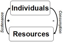 Individuals and resource diagram