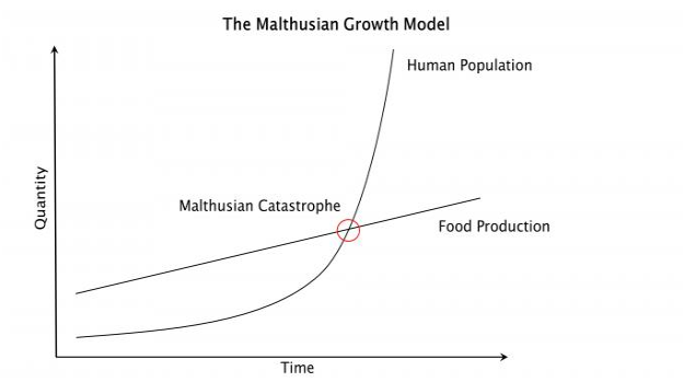 Malthusian growth model as described above. Quantity on y, time x. Intersection of population and food is the catastrophe point