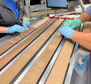 Two people scraping the surface of split sediment cores