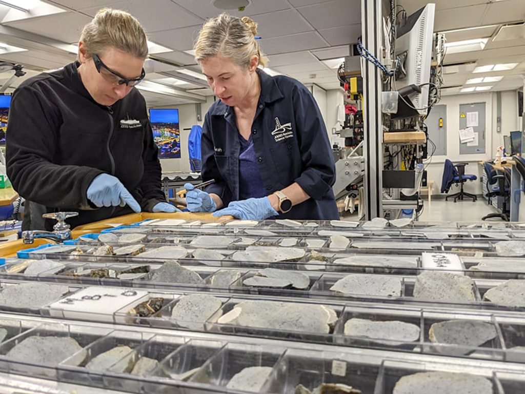 Two people looking over cut pieces of deep sea rock