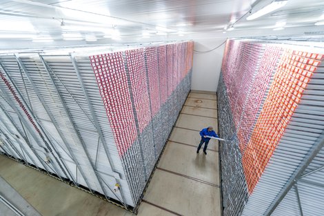 looking down on tall shelves with red and black capped plastic tubes