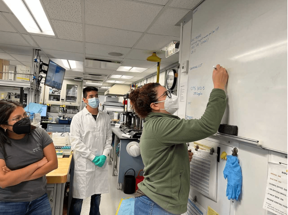 Danielle drawing up the game-plan for interstitial water analyses on the white board.