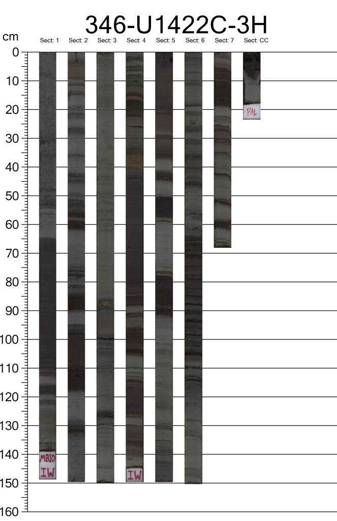 7 long bars of sediment changing in dark to grey colors