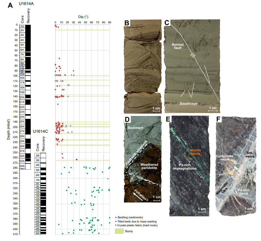 A chart, labelled A shows core recovery depths in black and to the right, dip angles of bedding at each depth, shown as red dots. Crystallized fabric is shown in the lower depths as green dots. Tilted mass wasted beds are shown as a blue dot in one location, approximately 90 meter depth. Slump layers are shaded in light green at various depths. Five images of cores show the features described in the caption. B is light brown in fine dark layers. C is gray green with the normal fault drawn as a white line angling from the upper left to lower right. Arrows on either side of this line show normal fault movement. The arrows on the upper right part section point down to indicate a downward movement. The left side has an arrow pointing to the upper left. Cracked layers in the lower section are near where the boudinage is labelled, but hard to make out. D shows light green sediment in faulted contact with a red weathered rock, labeled as peridotite. E shows a dark gray rock with lineations angled at 45 degrees from the upper left to the lower right. The serpentine vein, marked with a green line is at the same angle. F shows a faint gray red mottled rock with gray veins and rock angling at 45 degree from upper right to lower left. It's in this zone where the carbonate and serpentine veins but through the larger magmatic vein. The width of these rocks are 4 to 6 centimeters across and approximately 16 centimeters in height.