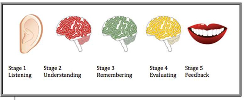 A five-stage listening process represented by icons: ear for listening, brain for understanding, remembering, and evaluating, and mouth for feedback.