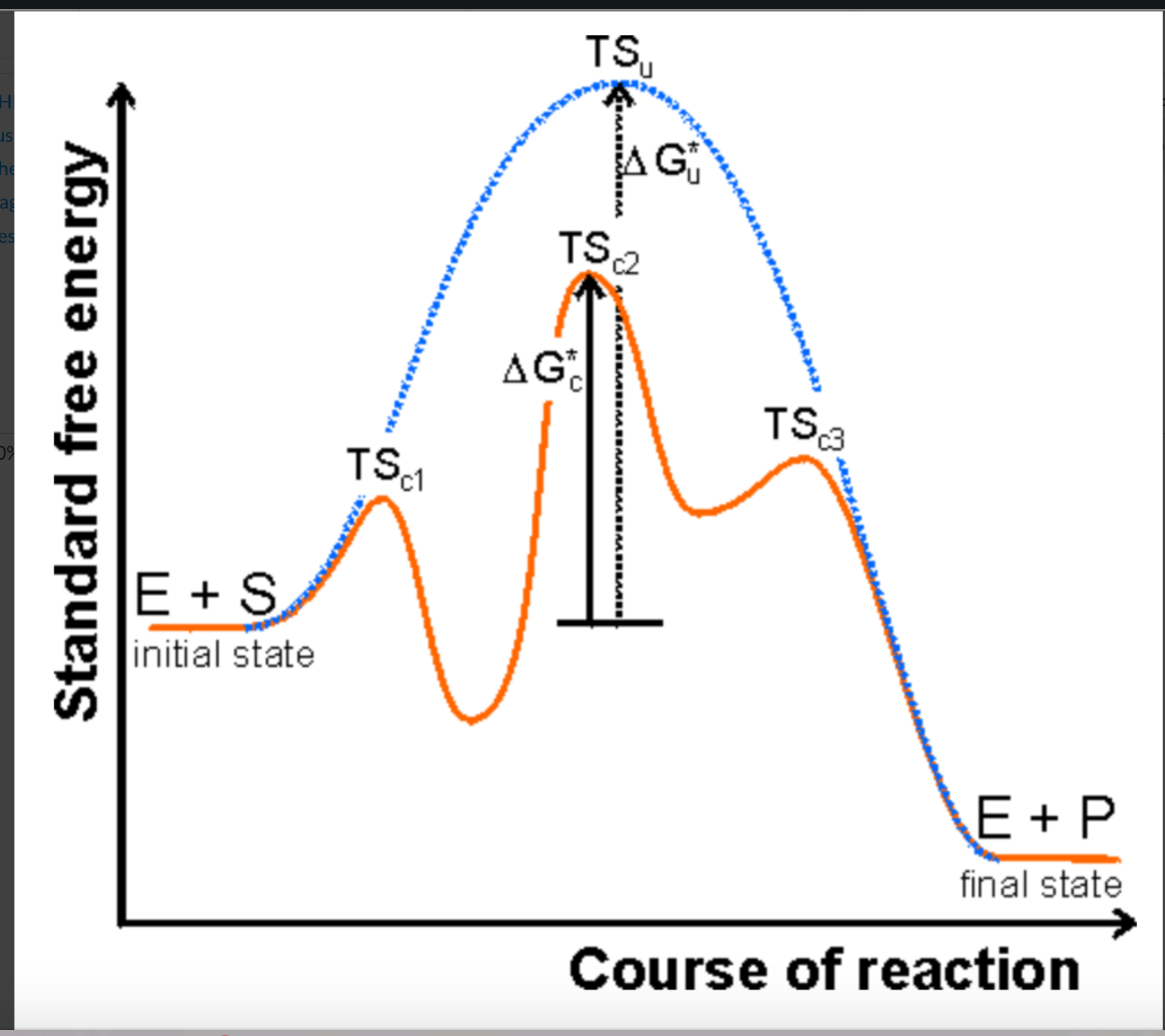 12.7 Catalysis – (2018) Chemistry 112- Chapters 12-17 Of OpenStax ...