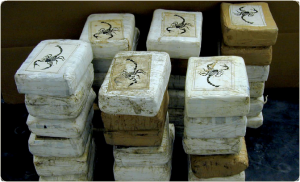 Blocks of Cocaine