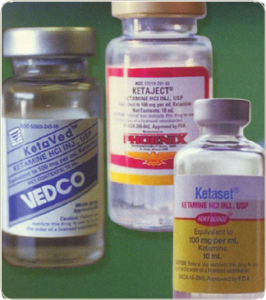 Vials containing liquid Ketamine